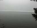 ./images/koeye/fitz-hugh/20200918/fitz-hugh20200918_154001.jpg