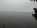 ./images/koeye/fitz-hugh/20200918/fitz-hugh20200918_154501.jpg