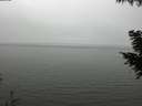 ./images/koeye/fitz-hugh/20200918/fitz-hugh20200918_155001.jpg