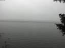 ./images/koeye/fitz-hugh/20200918/fitz-hugh20200918_155501.jpg