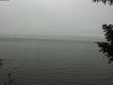 ./images/koeye/fitz-hugh/20200918/fitz-hugh20200918_160001.jpg