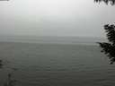 ./images/koeye/fitz-hugh/20200918/fitz-hugh20200918_160501.jpg