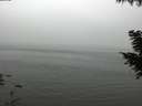 ./images/koeye/fitz-hugh/20200918/fitz-hugh20200918_161501.jpg