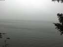 ./images/koeye/fitz-hugh/20200918/fitz-hugh20200918_162001.jpg