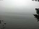./images/koeye/fitz-hugh/20200918/fitz-hugh20200918_162501.jpg