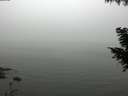 ./images/koeye/fitz-hugh/20200918/fitz-hugh20200918_164001.jpg