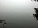./images/koeye/fitz-hugh/20200918/fitz-hugh20200918_164501.jpg