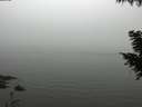 ./images/koeye/fitz-hugh/20200918/fitz-hugh20200918_165001.jpg