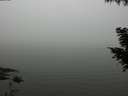 ./images/koeye/fitz-hugh/20200918/fitz-hugh20200918_165501.jpg