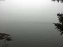 ./images/koeye/fitz-hugh/20200918/fitz-hugh20200918_170501.jpg