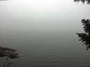 ./images/koeye/fitz-hugh/20200918/fitz-hugh20200918_171001.jpg