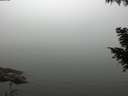 ./images/koeye/fitz-hugh/20200918/fitz-hugh20200918_171501.jpg