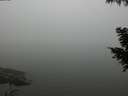 ./images/koeye/fitz-hugh/20200918/fitz-hugh20200918_173501.jpg