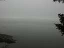./images/koeye/fitz-hugh/20200918/fitz-hugh20200918_174502.jpg