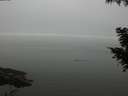 ./images/koeye/fitz-hugh/20200918/fitz-hugh20200918_175002.jpg