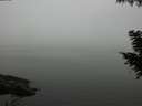 ./images/koeye/fitz-hugh/20200918/fitz-hugh20200918_175502.jpg