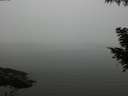 ./images/koeye/fitz-hugh/20200918/fitz-hugh20200918_180002.jpg
