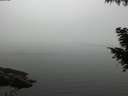 ./images/koeye/fitz-hugh/20200918/fitz-hugh20200918_180502.jpg
