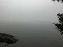 ./images/koeye/fitz-hugh/20200918/fitz-hugh20200918_181002.jpg