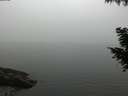 ./images/koeye/fitz-hugh/20200918/fitz-hugh20200918_181502.jpg