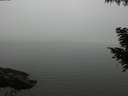 ./images/koeye/fitz-hugh/20200918/fitz-hugh20200918_182002.jpg
