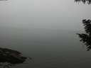 ./images/koeye/fitz-hugh/20200918/fitz-hugh20200918_182502.jpg