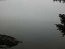 ./images/koeye/fitz-hugh/20200918/fitz-hugh20200918_183502.jpg