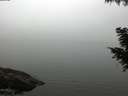 ./images/koeye/fitz-hugh/20200918/fitz-hugh20200918_184002.jpg