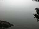 ./images/koeye/fitz-hugh/20200918/fitz-hugh20200918_184501.jpg