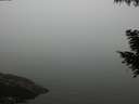 ./images/koeye/fitz-hugh/20200918/fitz-hugh20200918_185501.jpg