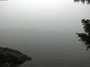 ./images/koeye/fitz-hugh/20200918/fitz-hugh20200918_190501.jpg