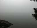 ./images/koeye/fitz-hugh/20200918/fitz-hugh20200918_191001.jpg