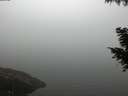 ./images/koeye/fitz-hugh/20200918/fitz-hugh20200918_192501.jpg