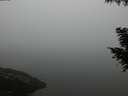 ./images/koeye/fitz-hugh/20200918/fitz-hugh20200918_193501.jpg