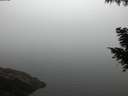 ./images/koeye/fitz-hugh/20200918/fitz-hugh20200918_194001.jpg