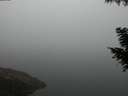 ./images/koeye/fitz-hugh/20200918/fitz-hugh20200918_195501.jpg