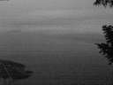 ./images/koeye/fitz-hugh/20200919/fitz-hugh20200919_063501.jpg