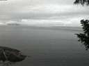 ./images/koeye/fitz-hugh/20200919/fitz-hugh20200919_064001.jpg