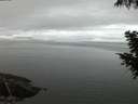 ./images/koeye/fitz-hugh/20200919/fitz-hugh20200919_064501.jpg