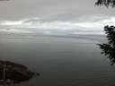 ./images/koeye/fitz-hugh/20200919/fitz-hugh20200919_065001.jpg