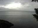 ./images/koeye/fitz-hugh/20200919/fitz-hugh20200919_083502.jpg