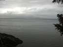 ./images/koeye/fitz-hugh/20200919/fitz-hugh20200919_084002.jpg