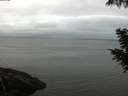 ./images/koeye/fitz-hugh/20200919/fitz-hugh20200919_085002.jpg