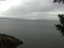./images/koeye/fitz-hugh/20200919/fitz-hugh20200919_090502.jpg