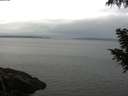 ./images/koeye/fitz-hugh/20200919/fitz-hugh20200919_092002.jpg