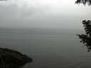 ./images/koeye/fitz-hugh/20200919/fitz-hugh20200919_095001.jpg
