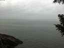 ./images/koeye/fitz-hugh/20200919/fitz-hugh20200919_095501.jpg