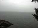 ./images/koeye/fitz-hugh/20200919/fitz-hugh20200919_103501.jpg