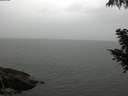 ./images/koeye/fitz-hugh/20200919/fitz-hugh20200919_105001.jpg