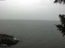 ./images/koeye/fitz-hugh/20200919/fitz-hugh20200919_105501.jpg